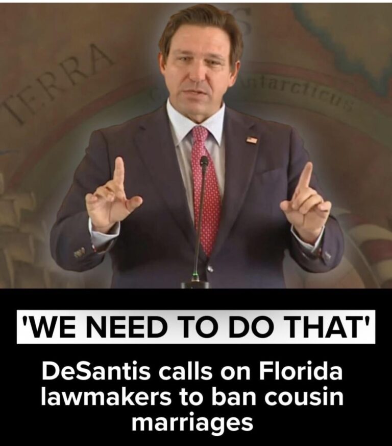 the les cousins dangereux plot thickens.jpeg