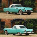 the 1955 ford thunderbird.jpeg
