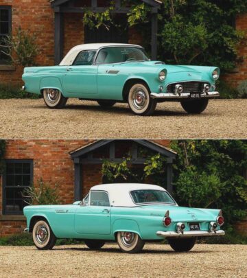 the 1955 ford thunderbird.jpeg