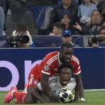 one is screaming hes so happy the others screaming a passionate shout.jpeg