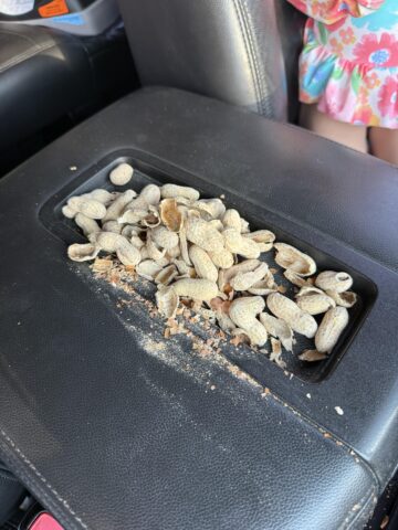 my daughter found a spot for her day peanuts.jpeg