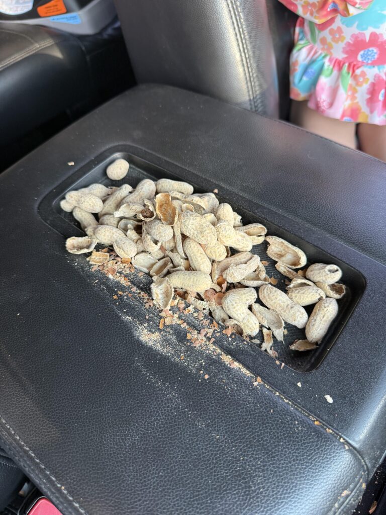 my daughter found a spot for her day peanuts.jpeg