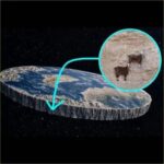 thank you artemis.jpeg