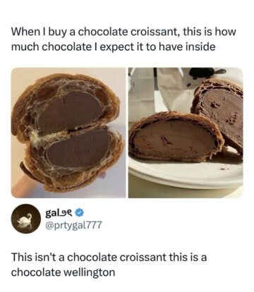 chocolate wellington.jpeg