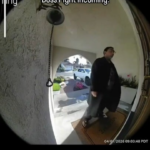 ultimate reddit boss.png