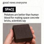 potatoes are better than human blood for making space concrete scientists say.jpeg