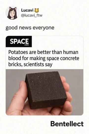 potatoes are better than human blood for making space concrete scientists say.jpeg