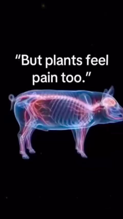 plants feel pain too.png