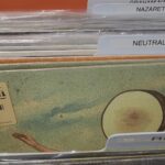 i totally thought this was a made up band.jpeg