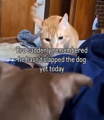 and one for the road.png