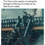 you got this bro.png