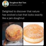 delighted to discover that nature has evolved a bat that looks exactly like a jam doughnut.jpeg