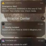 cant catch them all without taking a little risk.jpeg