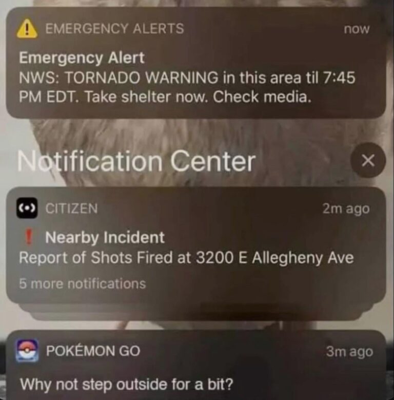 cant catch them all without taking a little risk.jpeg