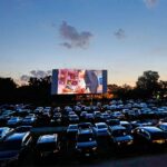 drive in theatres.jpeg
