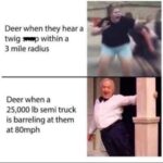 this got me rolling.jpeg