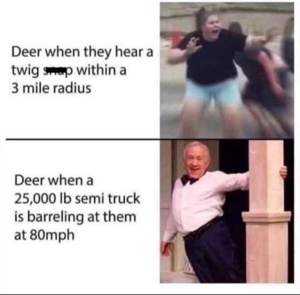 this got me rolling.jpeg