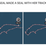 at the very least we should be able to get busters swatch back.png