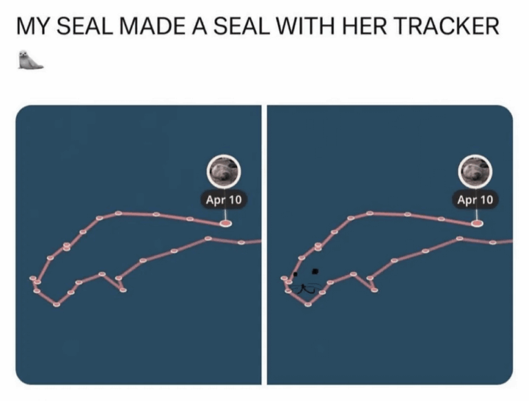 at the very least we should be able to get busters swatch back.png