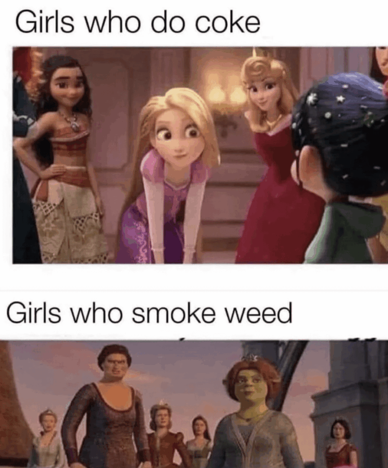 party girls vs ppl who get work done.png