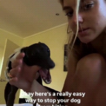 how to get your dog to stop biting.png