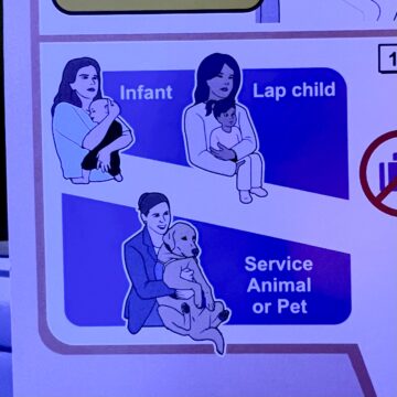 airplane safety booklet showing accurate facial expressions for people with children vs dogs.jpeg