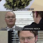 its 4 20 who besides creed do you think celebrated the holiday at dunder mifflin.jpeg