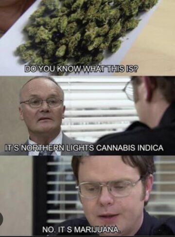 its 4 20 who besides creed do you think celebrated the holiday at dunder mifflin.jpeg