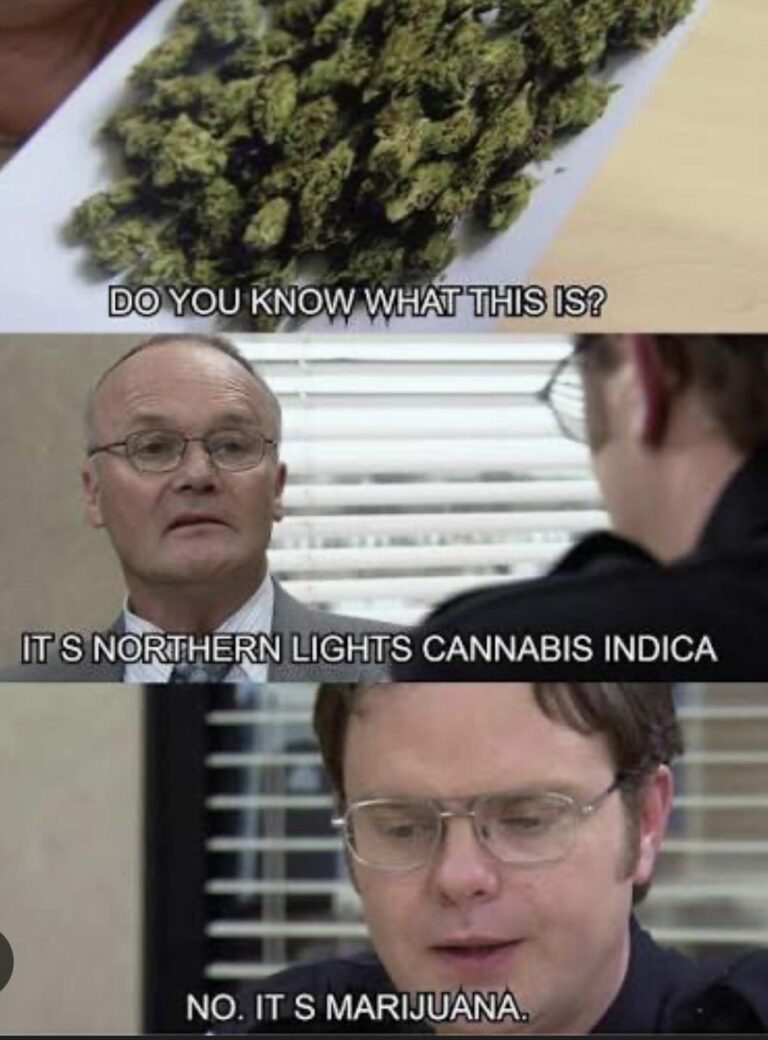 its 4 20 who besides creed do you think celebrated the holiday at dunder mifflin.jpeg