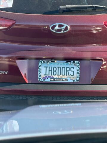 my upmost respect fellow desert rat.jpeg