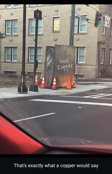 thats exactly what a copper would say.png