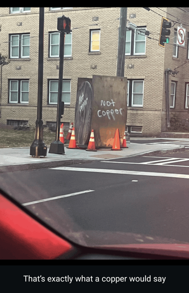 thats exactly what a copper would say.png