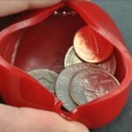 fellow oldies did you have a coin purse in the 60s 80s.jpeg