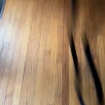 how formula 1 tracks are decided.png