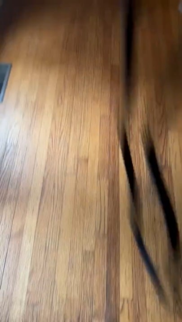 how formula 1 tracks are decided.png