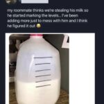are you putting milk in my milk.jpeg