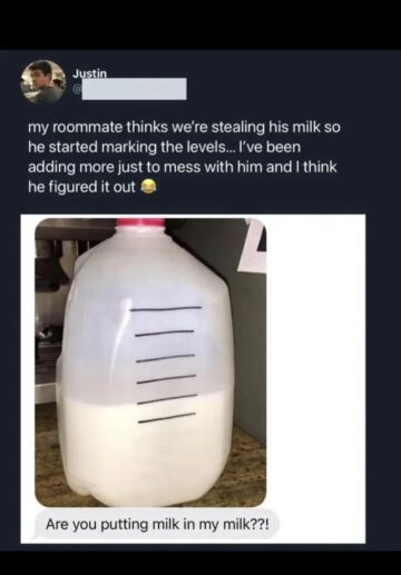 are you putting milk in my milk.jpeg