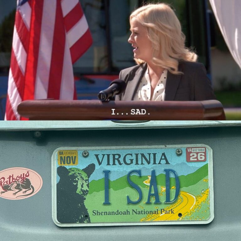 is that your official position i sad.jpeg