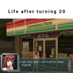 life in your 20s.png