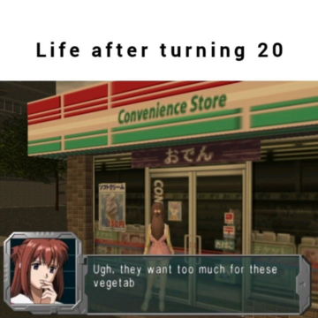 life in your 20s.png