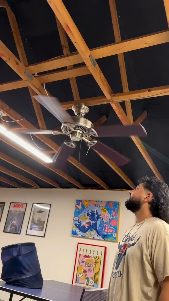 fans favorite people.png