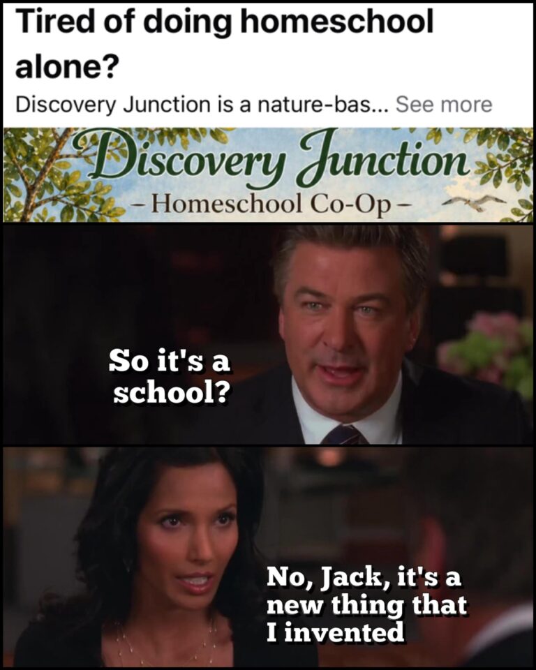 education is cyclical.jpeg