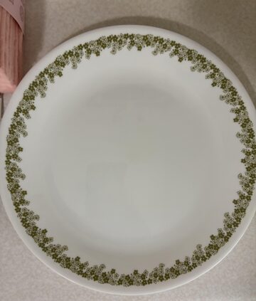 i got my first set of dishes.jpeg