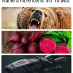 bears beets battlestar galactica.jpeg