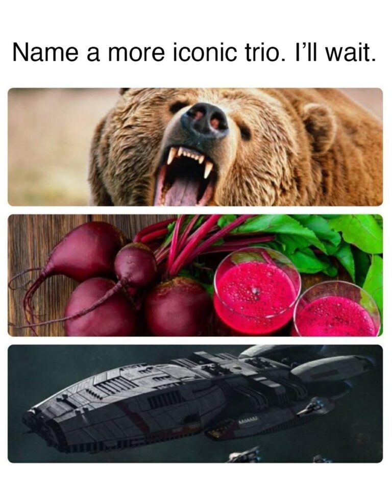 bears beets battlestar galactica.jpeg