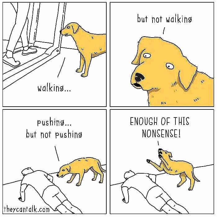 proof that gym rats are just npcs with broken pathfinding.jpeg