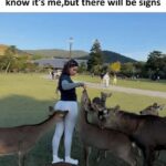 i get reincarnated.jpeg