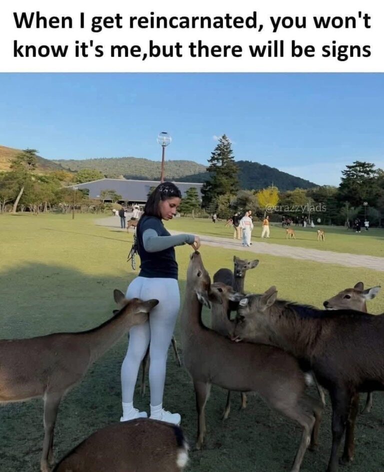 i get reincarnated.jpeg