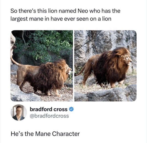 he is the mane character.png