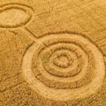 remember back when people thought crop circles were from aliens.jpeg